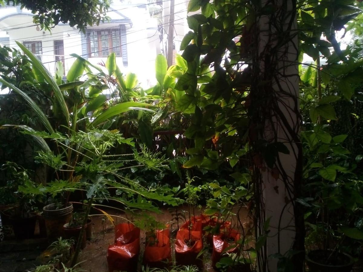 Nathans Holiday Home Kochi ภายนอก รูปภาพ